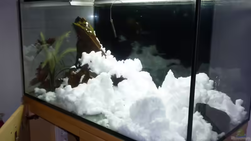 17.01.13 ~ Winter... von Quyrill (12)