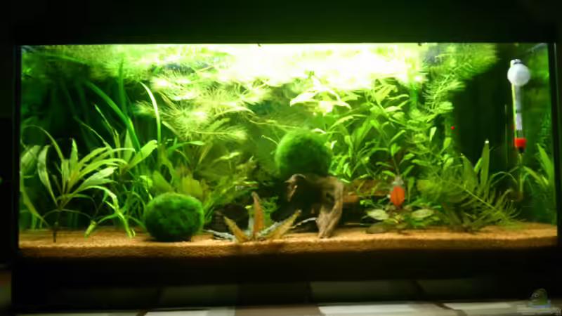 17.01.13 von Stephan Groß (3)