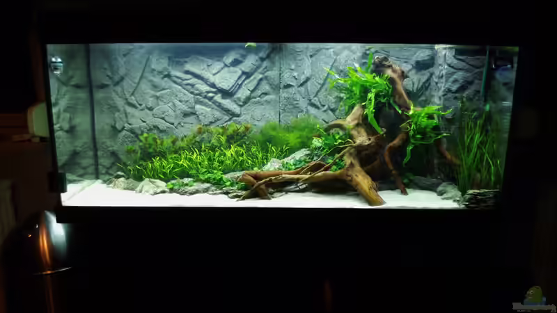 17.01.16 von Jah Gaid (6)