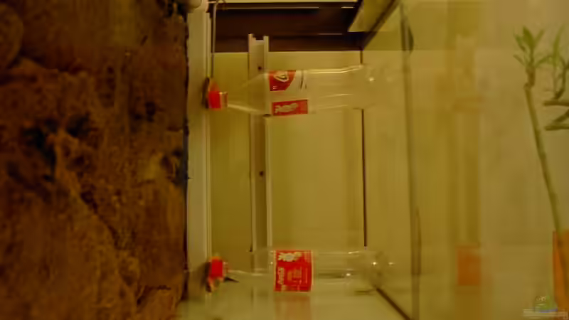 17.01 Konstruktion mit Colaflaschen damit der Kabelkanal an die Wand gepresst wird. von Marc Strubel (3)