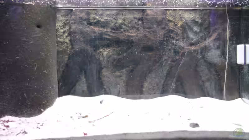 17.02.13 - Nach Umzug von Amazonasbecken.eu (6)