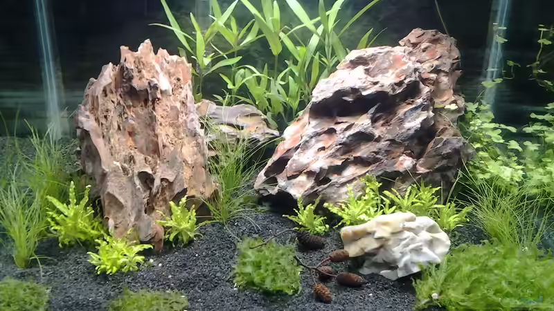 17.02.15 von Ruppinho (22)