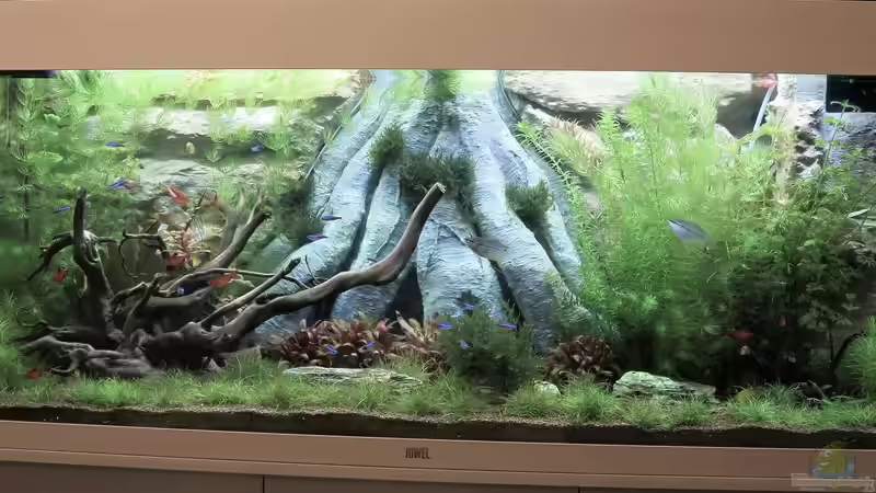 17.02.19 von Campi (1)