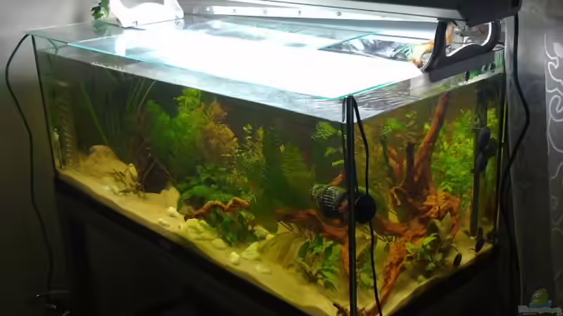 17.02.2010 von Laura (2)