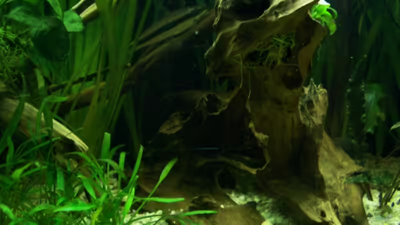 17.02.2010 von Tom Rudolph (6)