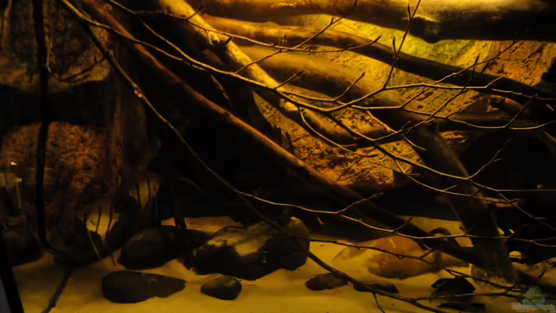 17.02.2011 von Laura (20)