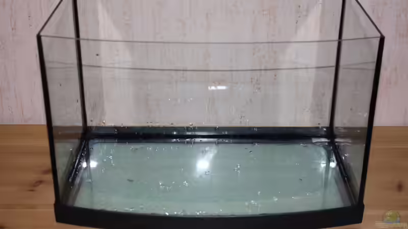 17.02.2012 von SouthAmerica (2)