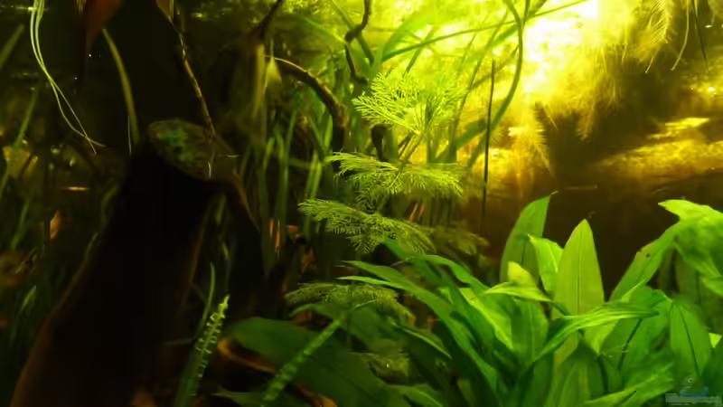 17.02.2013 von Life (15)