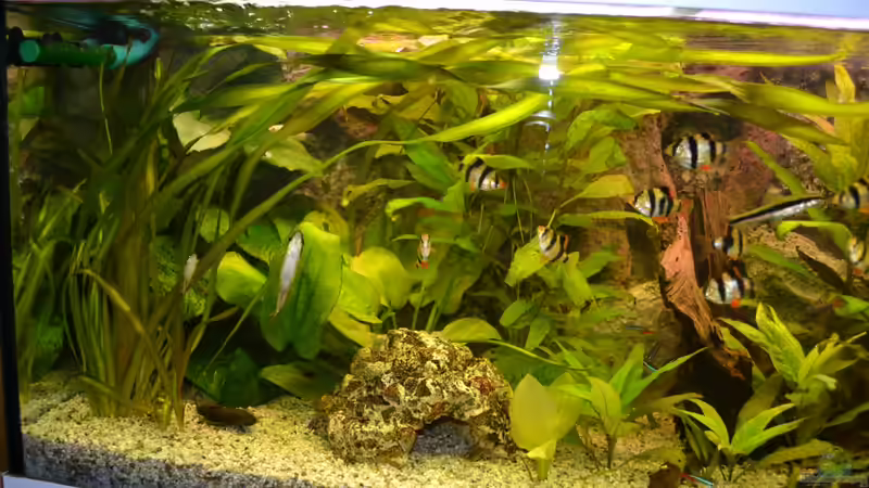 17.02.2013 von Steve (5)