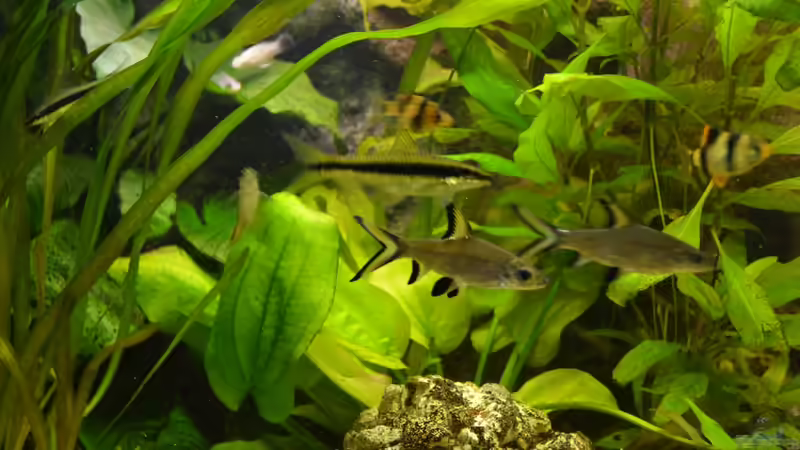 17.02.2013 von Steve (7)