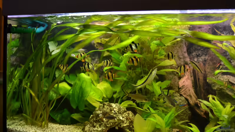 17.02.2013 von Steve (8)