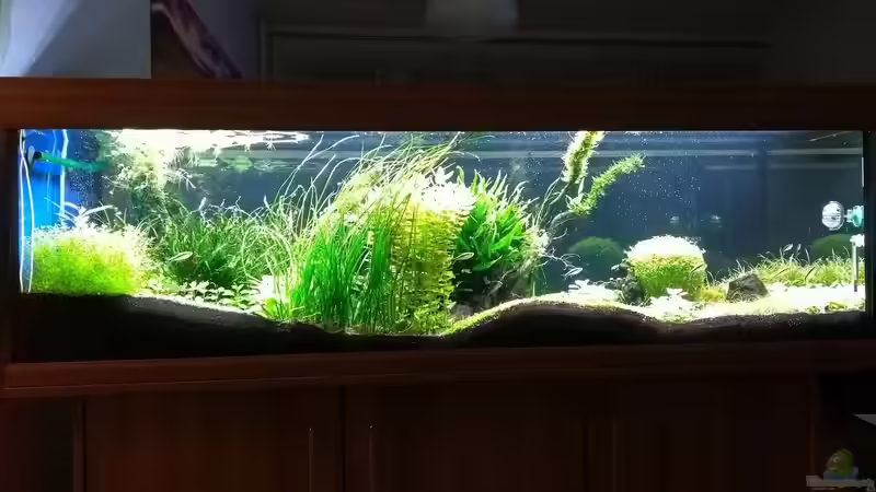 17.02.2018 hinten von C-NA (18)