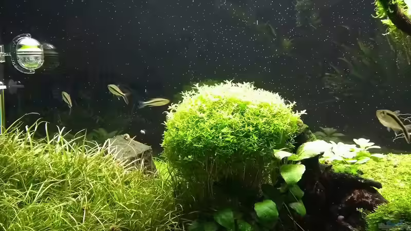 17.02.2018 von C-NA (30)