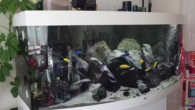 17.02.22  von Stefan von Oettingen (2)