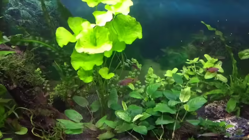 17.03.19 von Stephy (9)