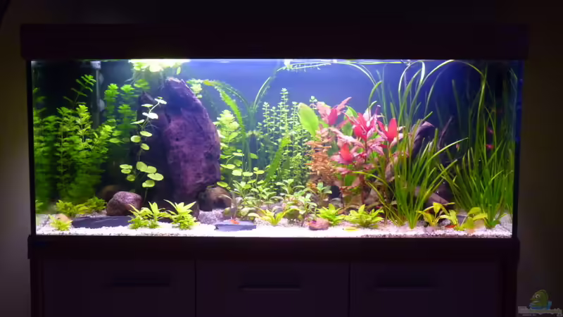 17.03.2011 von Steffen S. (4)