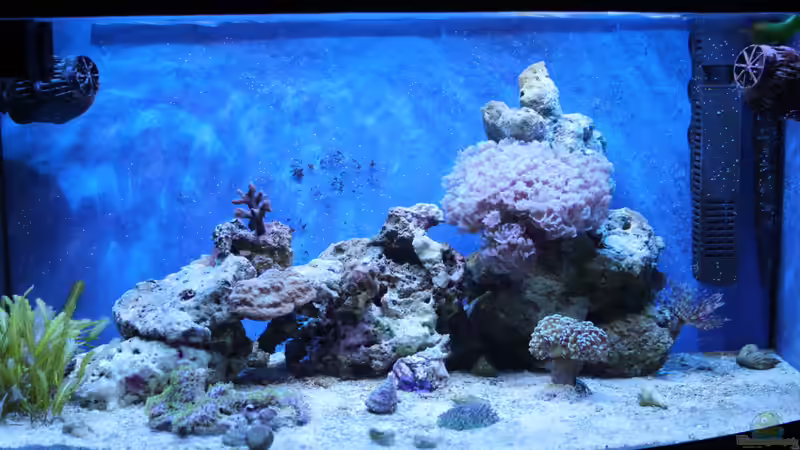 17.03.2011 von Sven K. (16)