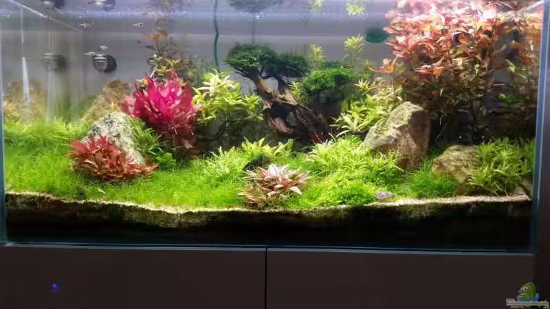 17.03.2016 von Livia & Marc (5)