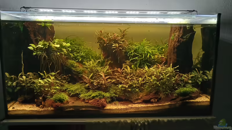 17.03.2023 von Mr-Shrimp (4)