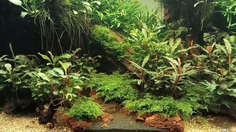 17.03.2023 von Mr-Shrimp (5)