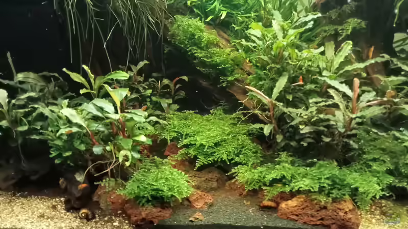 17.03.2023 von Mr-Shrimp (50)