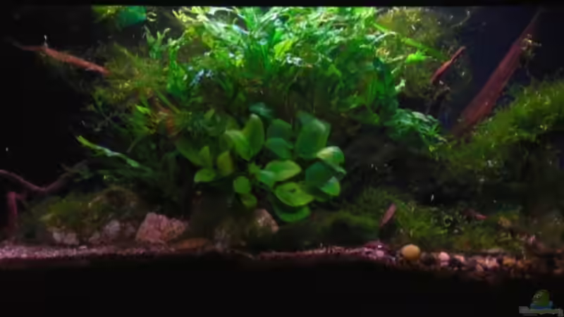 17.04.09 von Dominik (14)