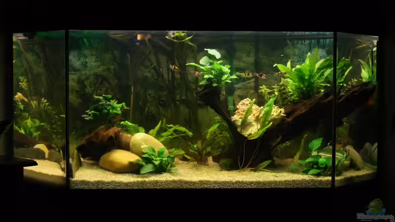 17.04.2012 von Sunnyboy_72 (1)