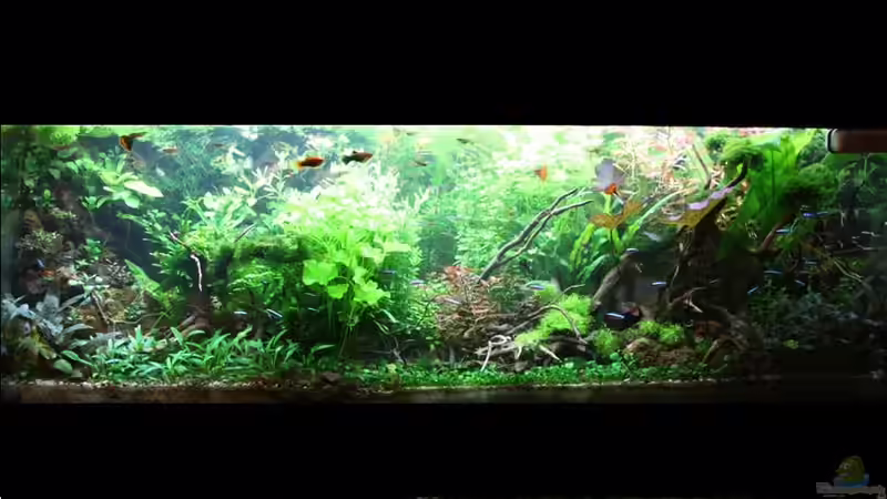 17.04.2018 von brimar67 (10)