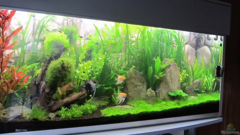 17.05.13 von Ralf28 (2)