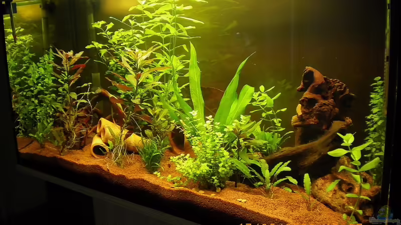 17.05.2009 von Manuel Well (1)