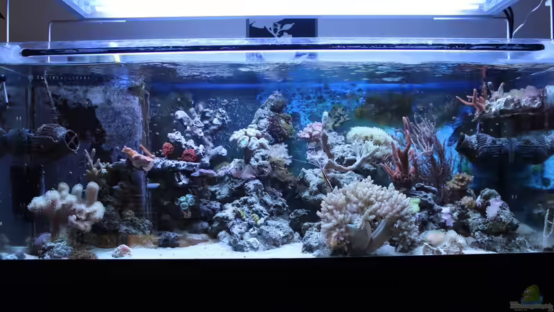 17.05.2015 von Jane Vogeler (38)