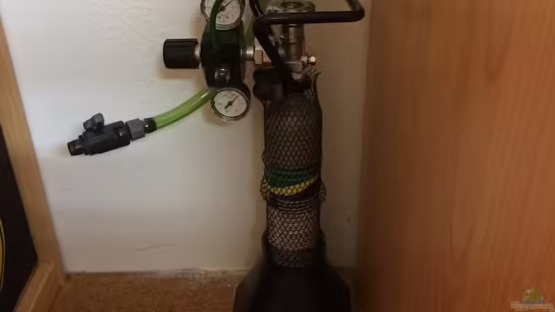 17.05.2021 500 gr. CO2 Anlage mit Druckminderer von herkla (47)