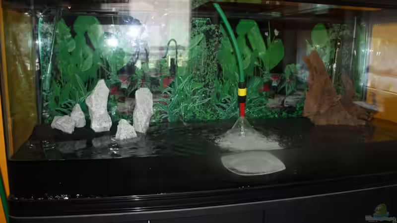 17.06.11 Wasser marsch von wolle04 (4)