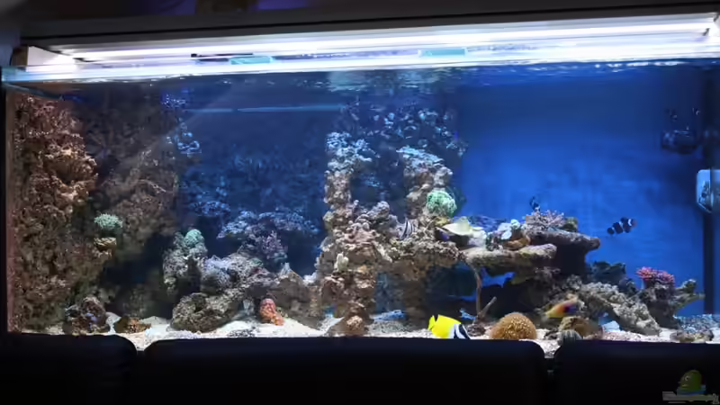 17.07.2010 von Stephan Ascher (42)