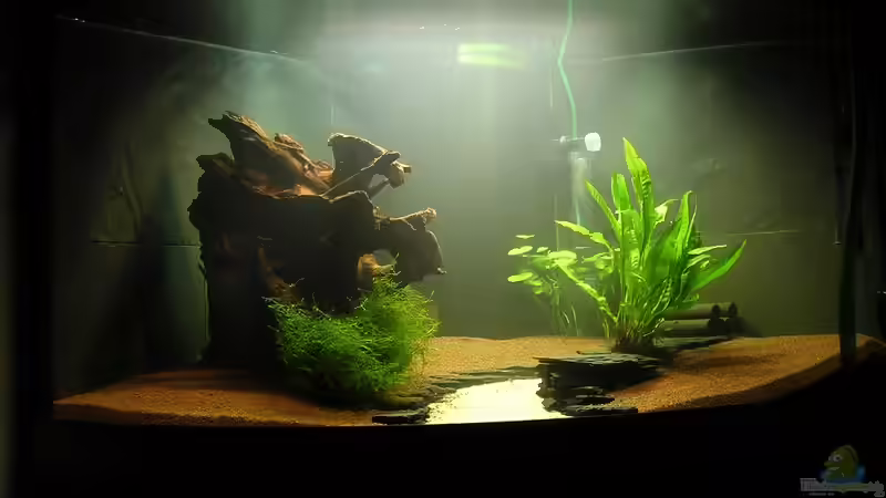 17.07.2011 von Christian Grunwald (20)