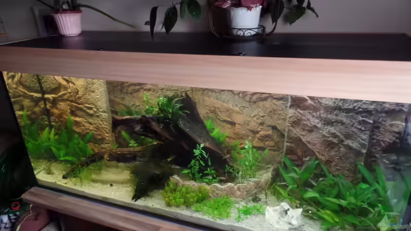 17.07.2017 von raubsau (58)