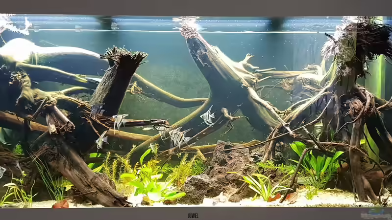 17.08.2019 von Mel (4)