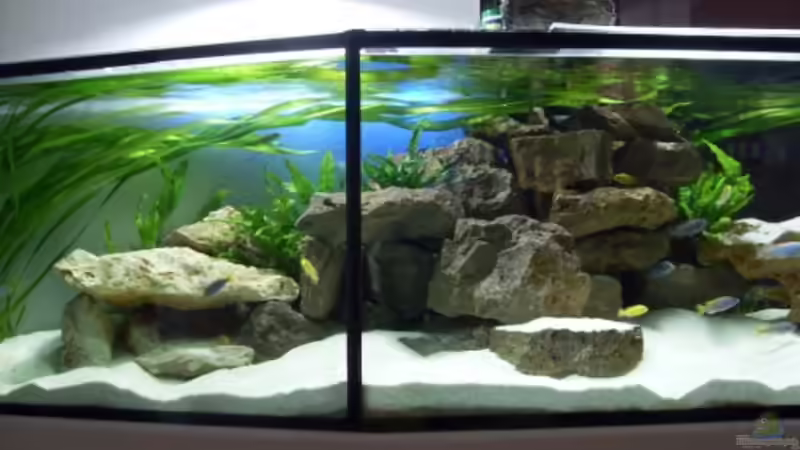 17.1.2010 erste Versuche mit Rückwandbeleuchtung von Mats (34)