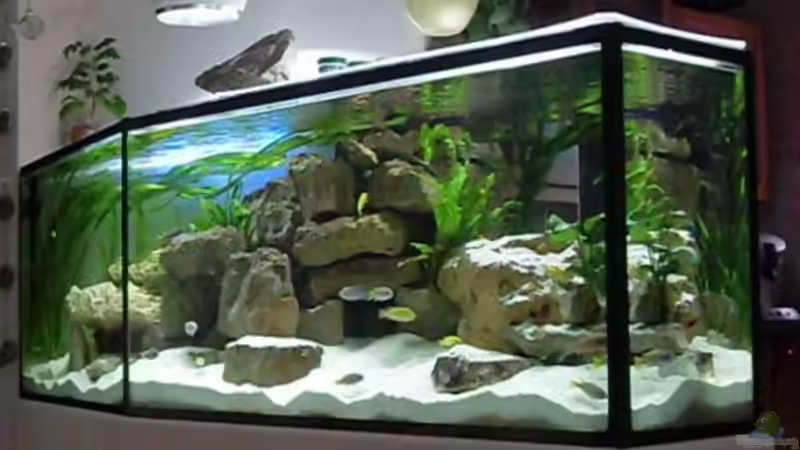 17.1.2010 von Mats (35)