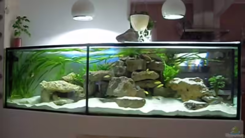 17.1.2010 von Mats (36)