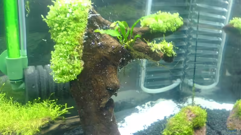 17.10.08 von Oli (5)