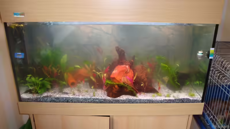 17.10.12 etwas eingetrübt von Poldi1981 (3)