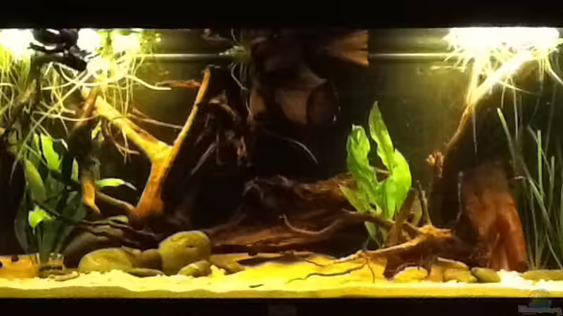 17.10.14 von Jemafa (6)