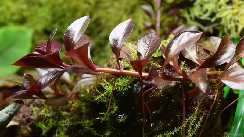 17.11.2018 von Junglist (17)