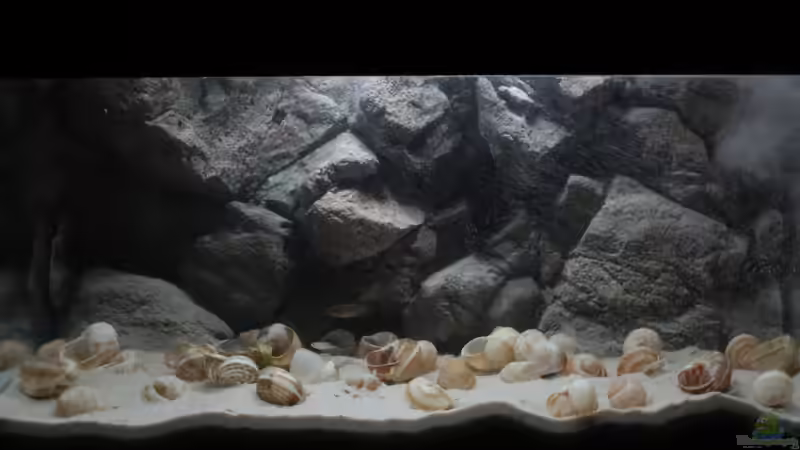 17.12.2012 von Koehler (5)