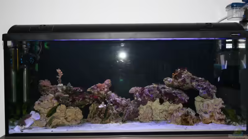 17.4.11 von Johannes 88 (6)