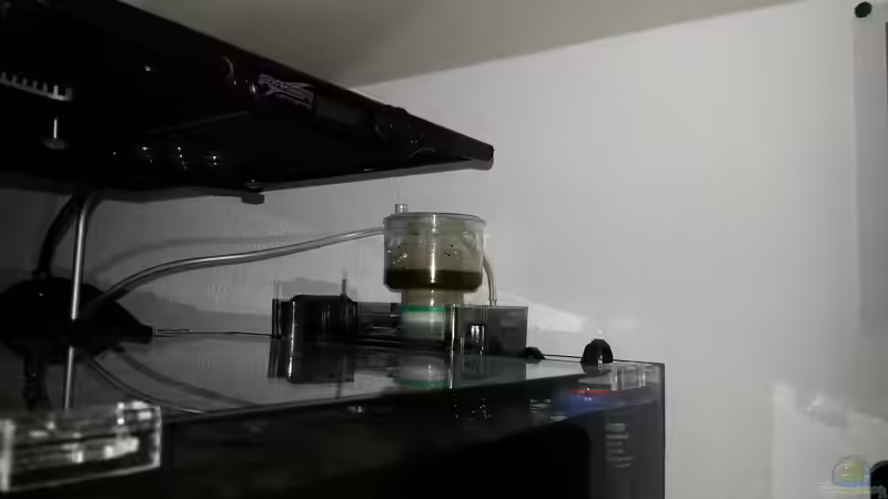 17 Tage nach einrichtung von BenoN (34)