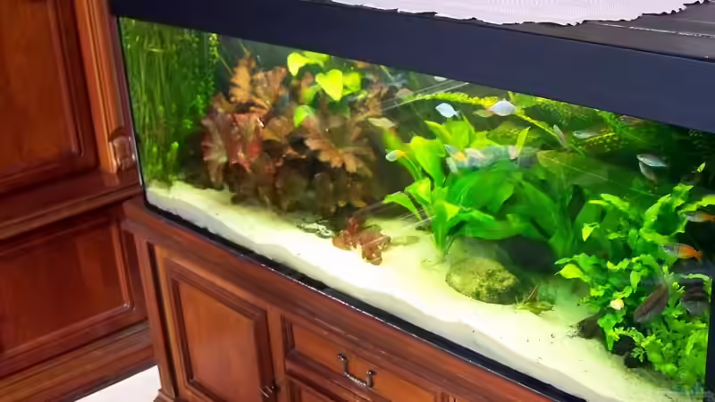 18. juni 2011 von Peter Walenciak (11)