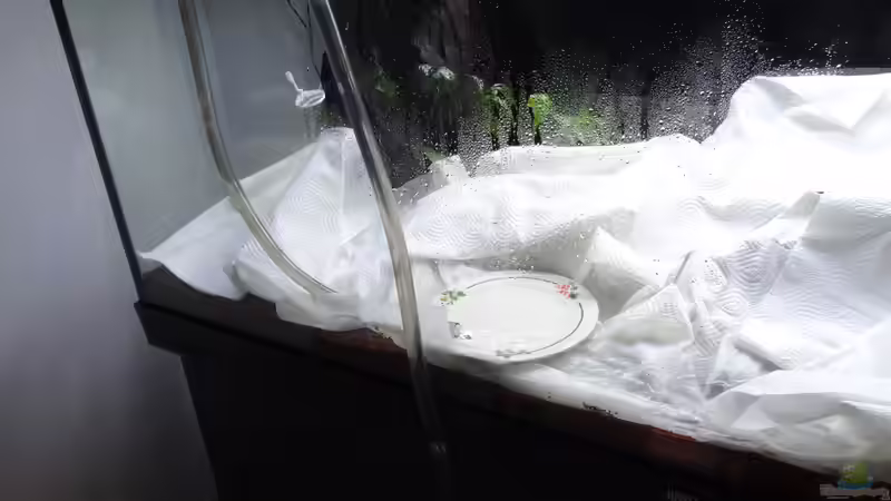 18.) Wasser Marsch von coachdriver_uwe (19)