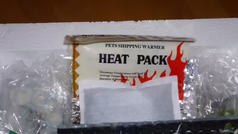 18.01.13 ~ ... kam heute gut verpackt aus Holland an. von Quyrill (26)